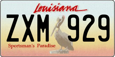 LA license plate ZXM929