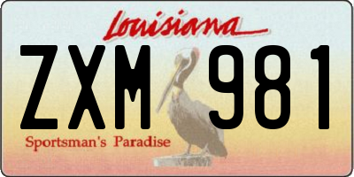 LA license plate ZXM981
