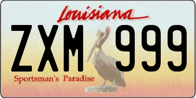 LA license plate ZXM999