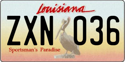 LA license plate ZXN036