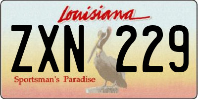 LA license plate ZXN229