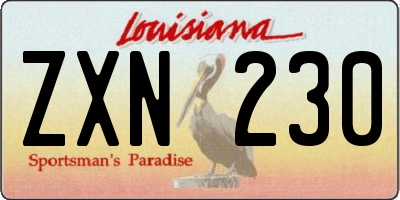 LA license plate ZXN230