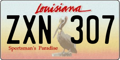 LA license plate ZXN307