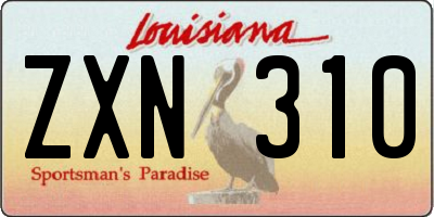 LA license plate ZXN310