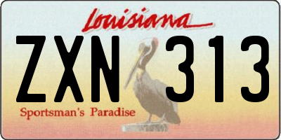 LA license plate ZXN313