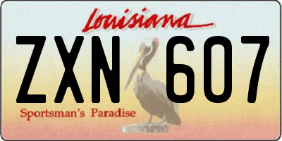 LA license plate ZXN607