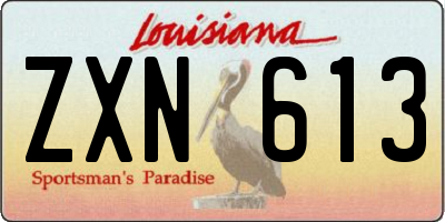 LA license plate ZXN613