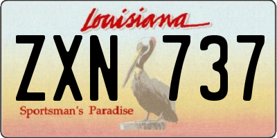 LA license plate ZXN737