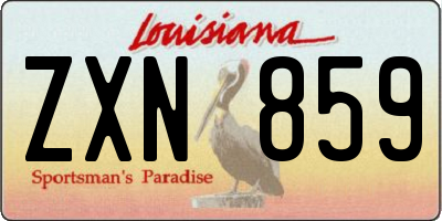 LA license plate ZXN859