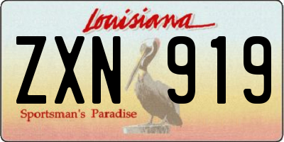 LA license plate ZXN919