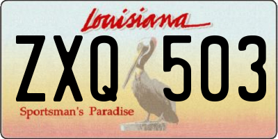 LA license plate ZXQ503