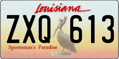 LA license plate ZXQ613