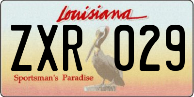 LA license plate ZXR029