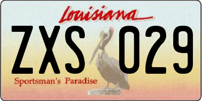 LA license plate ZXS029