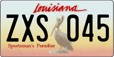 LA license plate ZXS045