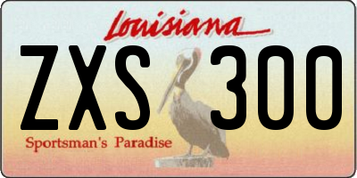 LA license plate ZXS300