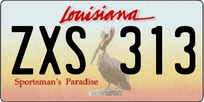 LA license plate ZXS313