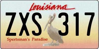 LA license plate ZXS317