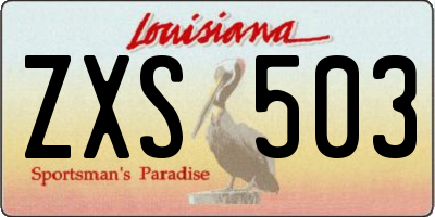 LA license plate ZXS503