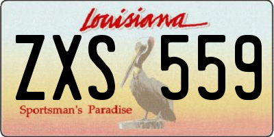 LA license plate ZXS559