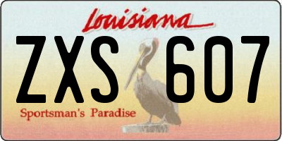 LA license plate ZXS607