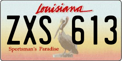 LA license plate ZXS613