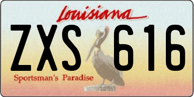 LA license plate ZXS616