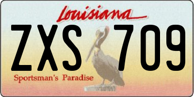 LA license plate ZXS709