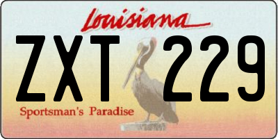 LA license plate ZXT229