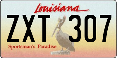 LA license plate ZXT307
