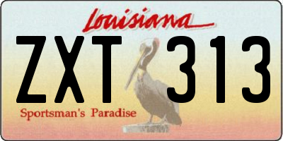 LA license plate ZXT313