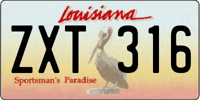 LA license plate ZXT316