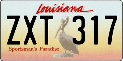 LA license plate ZXT317