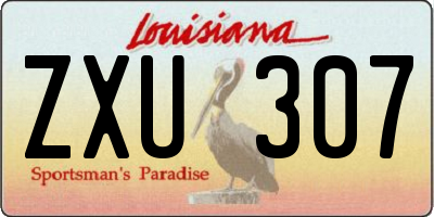 LA license plate ZXU307