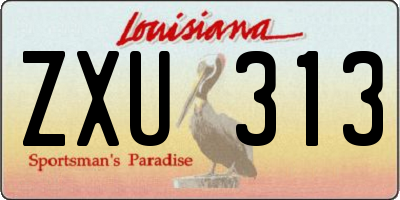 LA license plate ZXU313