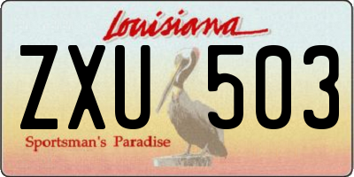 LA license plate ZXU503