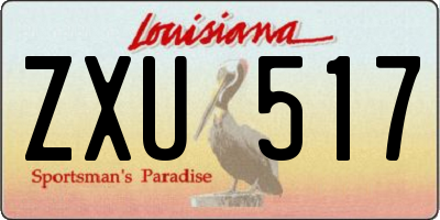 LA license plate ZXU517