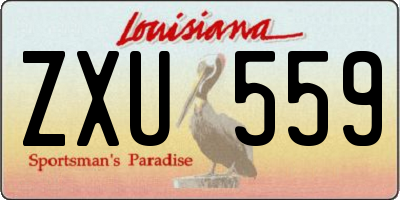 LA license plate ZXU559