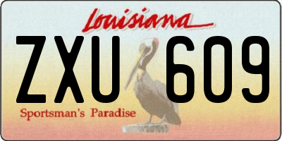 LA license plate ZXU609