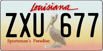 LA license plate ZXU677