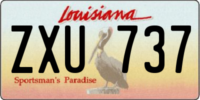 LA license plate ZXU737