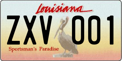 LA license plate ZXV001