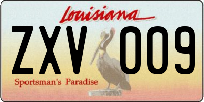 LA license plate ZXV009