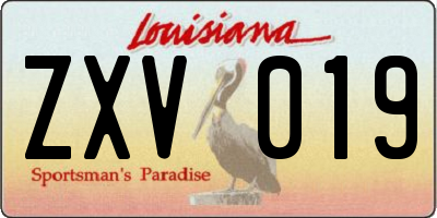 LA license plate ZXV019