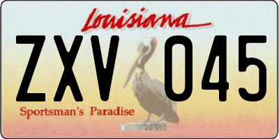 LA license plate ZXV045