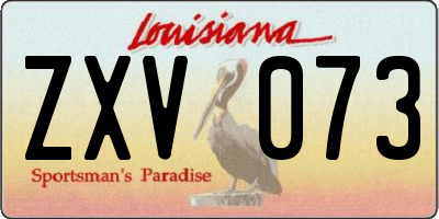 LA license plate ZXV073