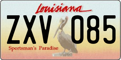 LA license plate ZXV085