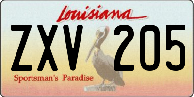 LA license plate ZXV205