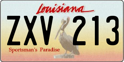 LA license plate ZXV213