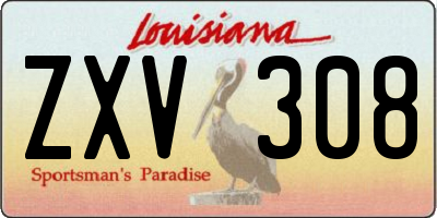 LA license plate ZXV308